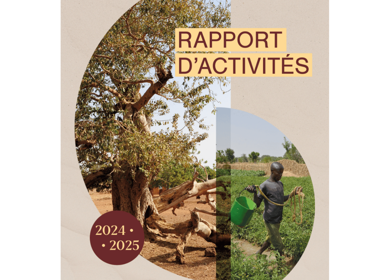 Rapport d'activités 2024-2025